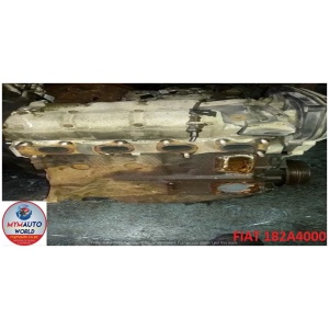 FIAT 1.6L 16V