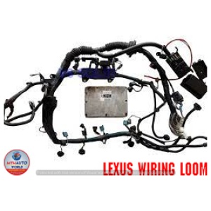 LEXUS WIRING LOOM