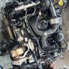 Vw Amarok 3.0l Tdi Ddx Engine - New Engine – Engine Only