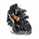 01- Renault Clio/kangoo 1.5 Dci - Engine – Engine Only