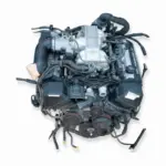 Lexus LS400 V8 / Lexus SC400 Luxury Coupe Custom - Image 2