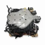 Commodore 3.6 V6 - Engine – Engine Only