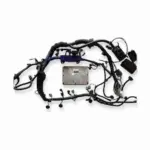 LEXUS WIRING LOOM