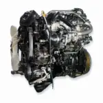 Toyota Hilux 2.4 GD-6 Raised Body Raider / SRX